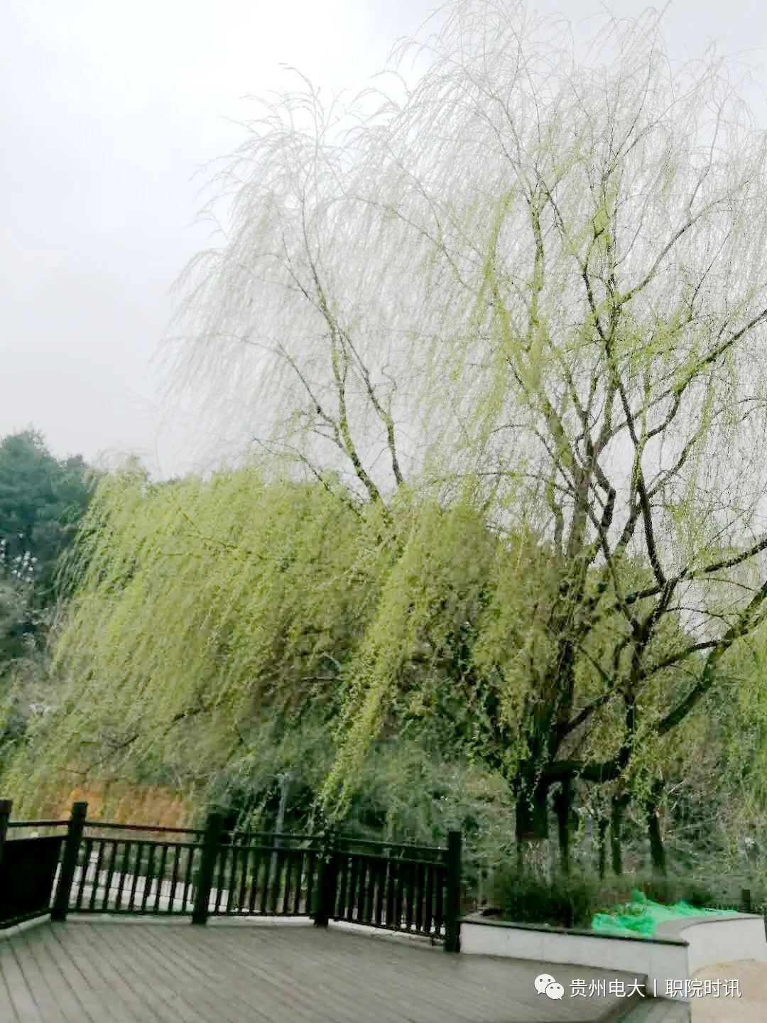 319900b06063806fc6ff75e72192cbef