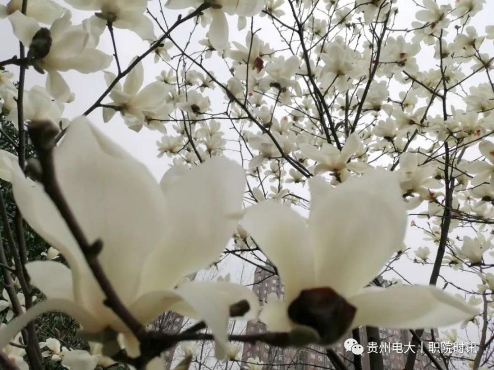 e3a1ffc98cccc6ea72e3581e6028211c