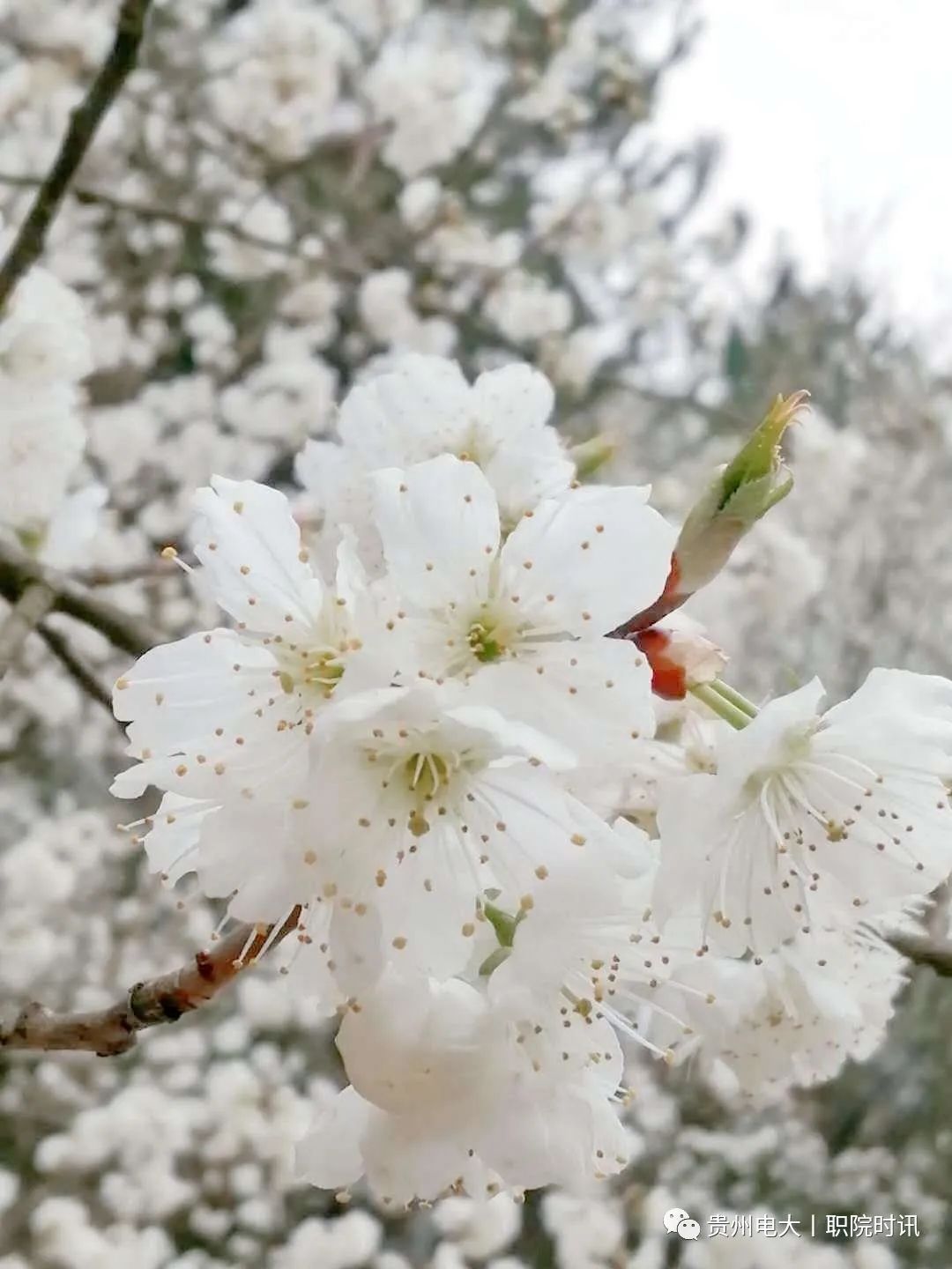 208dfb3915f4b68debb48a2c89ec231d