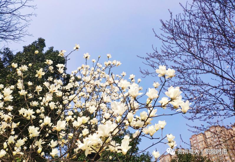 8c2bd833f62e42e6fe23c07351cf97a8