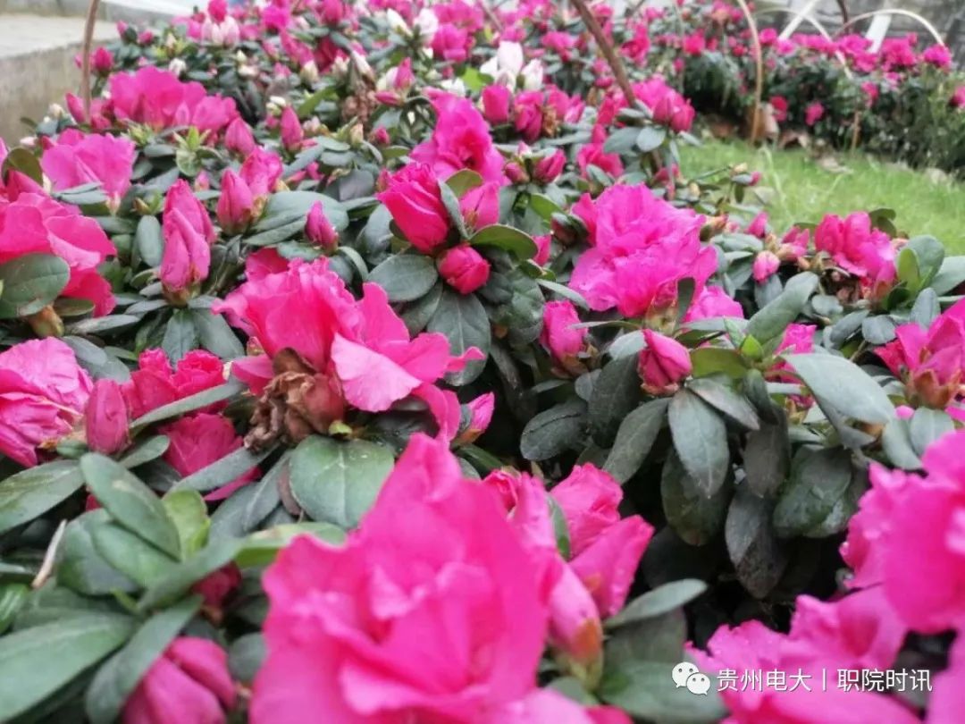 505c341caf68860129ca92099fddf30b