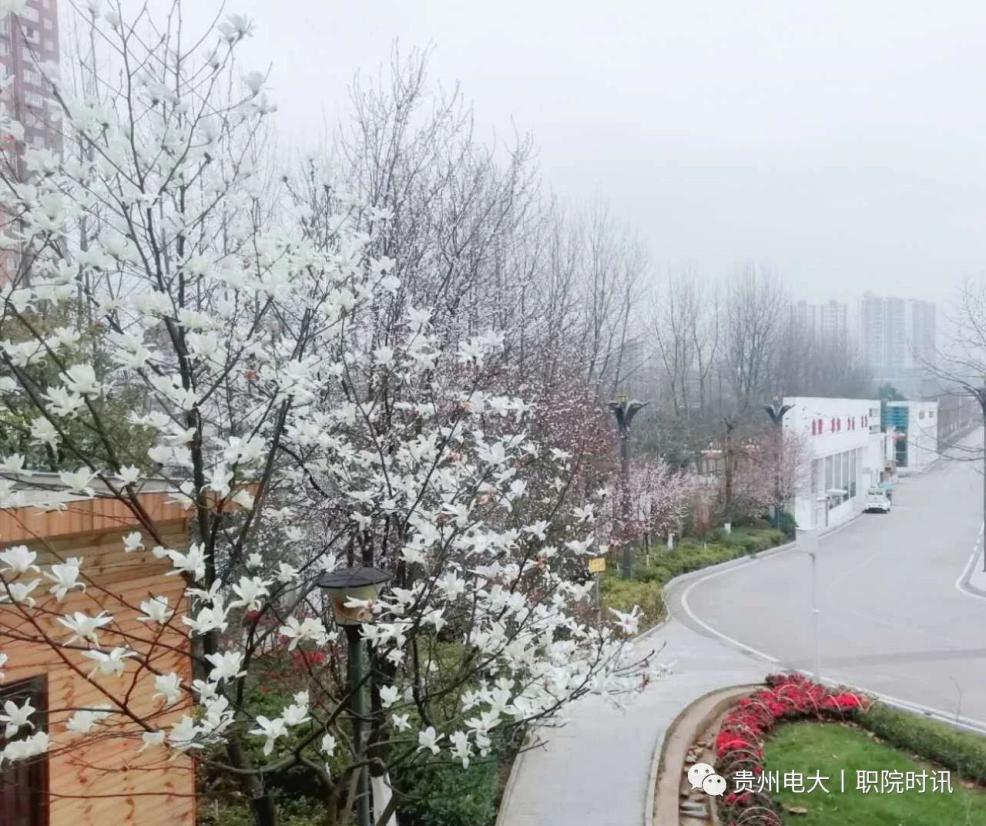 9afc4ee2d7ab3e2627105b16ddebee62