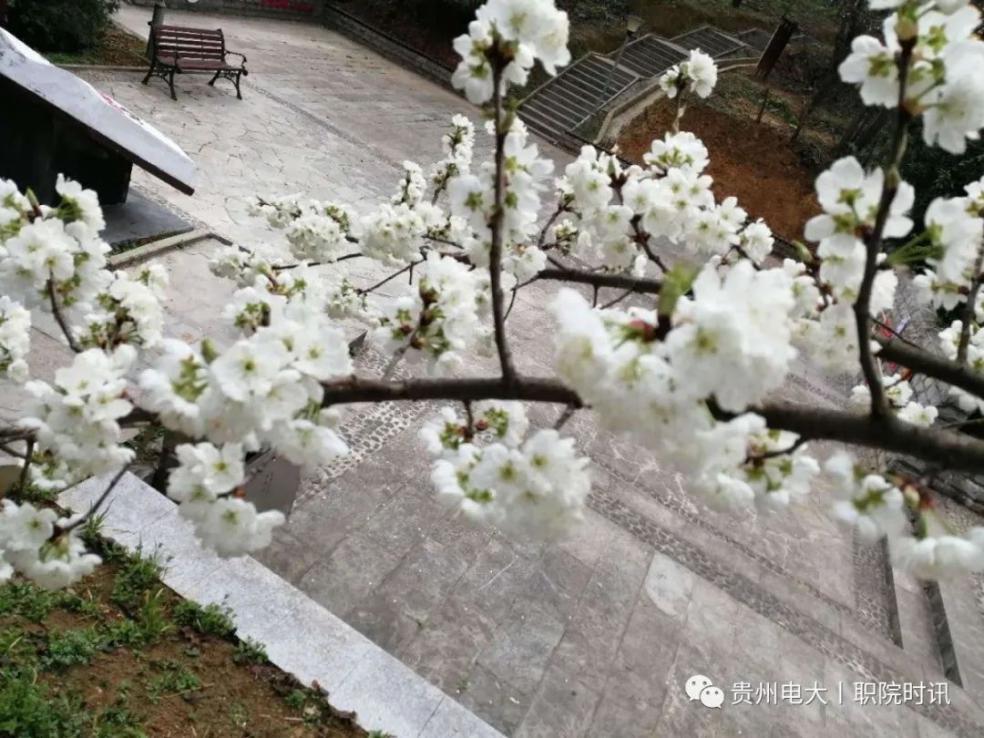 cf95b68f049e3bc220aad5e20d247ee6