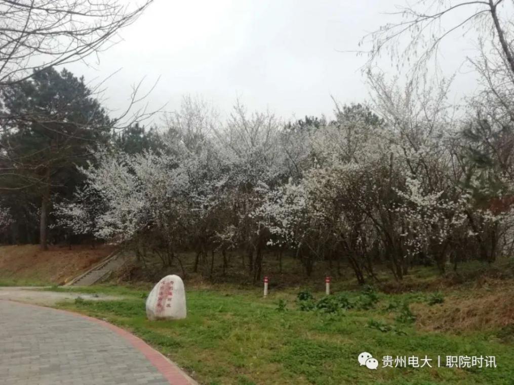 275594c9634ce72f14c110130d95befe